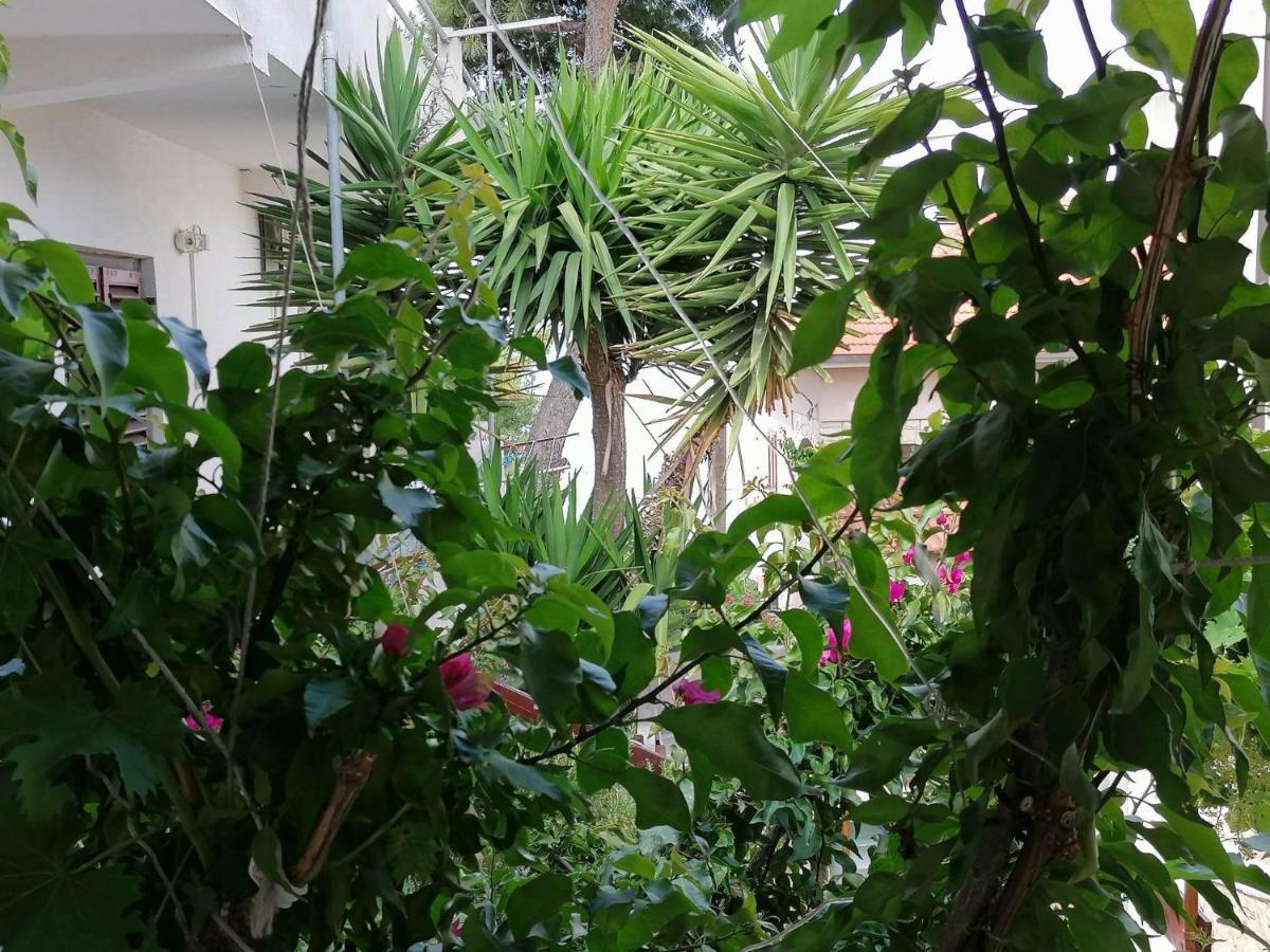 Apartments Misini Dvori Stomorska Dış mekan fotoğraf
